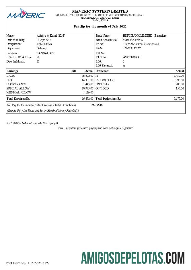 Realista Modelo de recibo de pagamento da Maveric Systems Engineering Company em formatos Word e PDF.pdf, 1